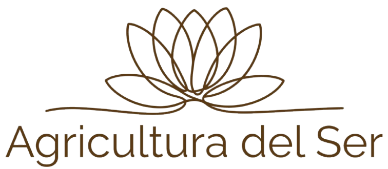 cropped-Logo-1000x1000-removebg-1.png